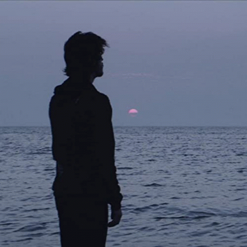 Fire, Said The Albatross : Poolside Parrot's Parasol Party